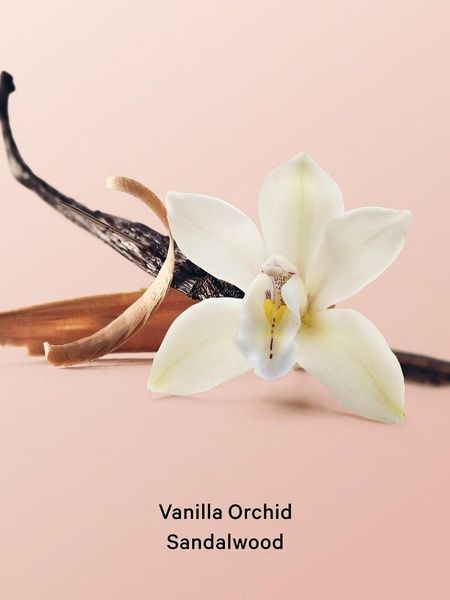 Скраб для тіла Victoria's Secret Vanilla Orchid Whipped Body Scrub 216 г 26974292 фото