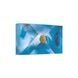 Подарунковий набір Rituals The Ritual Of Hammam Small Gift Set ici-48a фото 2