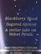 Velvet Petals Starlit - парфумований лосьйон Victorias Secret, 236 мл 583-ib7 фото 3