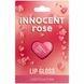 Блиск для губ у вигляді серця FAB Factory Precious Rose a18-28i фото 4