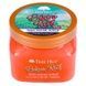 Скраб для тела Tree Hut Bikini Reef Sugar Scrub, 510 г 521-222 фото 1