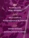 Decadent Plum -&nbsp;парфюмированный лосьон Victoria's Secret, 236 мл 26999139 фото 4