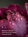 Sultry Petals - парфумований лосьйон Victoria's Secret, 236 мл 26999140 фото 4