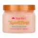 Cкраб для тіла Tree Hut Sugar Scrub Tropical Mango, 510 г 1i5-313 фото 1
