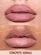 Карандаш для губ Sheglam Lip Facts Lip Liner Survivor mcs-2h0-czw фото 2
