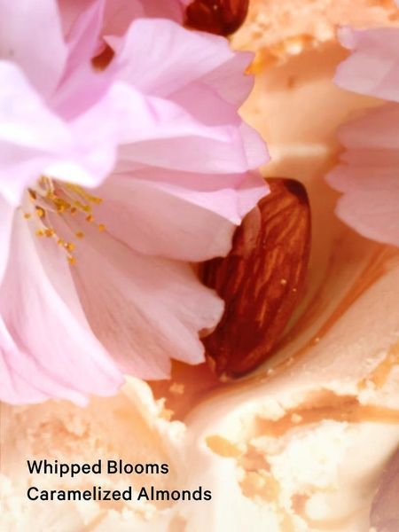 Velvet Petals Brulee - парфюмированный лосьон Victoria`s Secret, 236 мл 27071603 фото