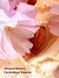 Velvet Petals Brulee - парфюмированный лосьон Victoria`s Secret, 236 мл 27071603 фото 2