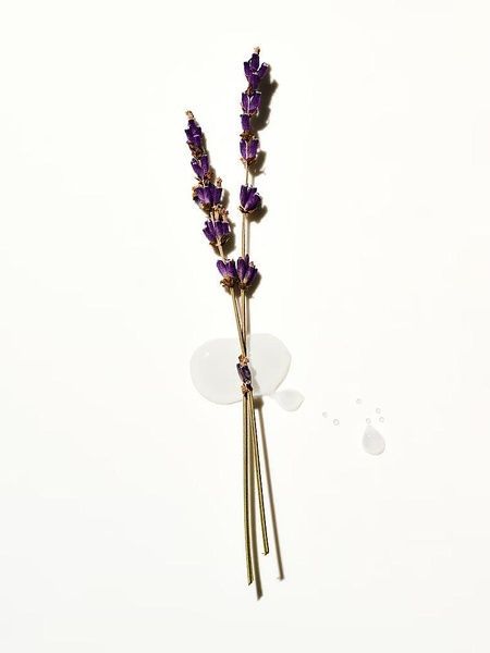 Lavender - скраб для тела PINK Victoria's Secret, 283г i5i-2b12 фото
