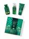 Подарочный набор Bath and Body Works Vanilla Bean Noel 5c0-224 фото 1