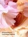 Velvet Petals Brulee - парфумований спрей(міст) для тіла Victoria's Secret, 250 мл 27060003 фото 2
