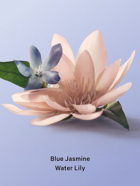 Парфюмированный лосьон для тела Victoria's Secret Blue Jasmine Water Lily Hydrating Body Lotion 296 мл 26967823 фото