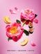 Heart Breaker Shimmer - парфумований спрей(міст) для тіла з шимером Victoria's Secret PINK, 250 мл 26914576 фото 2