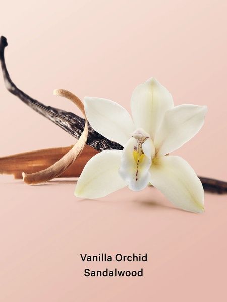 Парфумований лосьйон для тіла Victoria's Secret Vanilla Orchid Sandalwood Hydrating Body Lotion 296 мл 26967822 фото