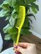 Гребінь для волосся Janeke Fashion Comb Жовтий неон f4m-dqf-pzd фото 1