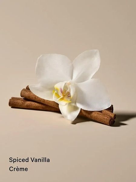 Олія для тіла з шимером Victoria's Secret Spiced Vanilla Creme Shimmer Body Oil 236 мл 27086933 фото