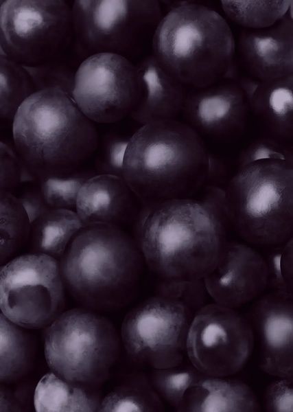 Зубна паста зі смаком чорної смородини hismile Blackcurrant Toothpaste 60 г 93576390 фото