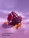 Love Spell Joy Shimmer - парфюмированный лосьон для тела с шимером Victoria's Secret 236 мл 27093510 фото 2