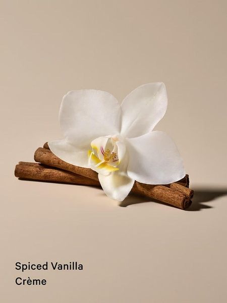 Подарочный набор (парфюмированный мист и лосьон) Victoria's Secret Spiced Vanilla Creme 25165397 фото