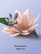 Blue Jasmine Water Lily - парфумований спрей(міст) для тіла і волосся Victoria's Secret, 236 мл 26970165 фото 2