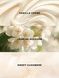 Darling Vanilla Jasmine - парфумований спрей(міст) для тіла Victoria's Secret, 250 мл 27083956 фото 2