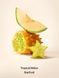 Скраб для тела Victoria's Secret Tropical Melon Starfruit Scalp & Body Scrub 275 г 27212713 фото 2