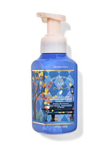 Мыло-пенка Crisp Morning Air Bath&Body Works, 259 мл 028019114 фото