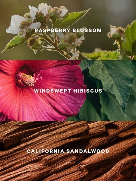 Serene Blooms - парфумований лосьйон для тіла Victoria's Secret, 236 мл 27155618 фото
