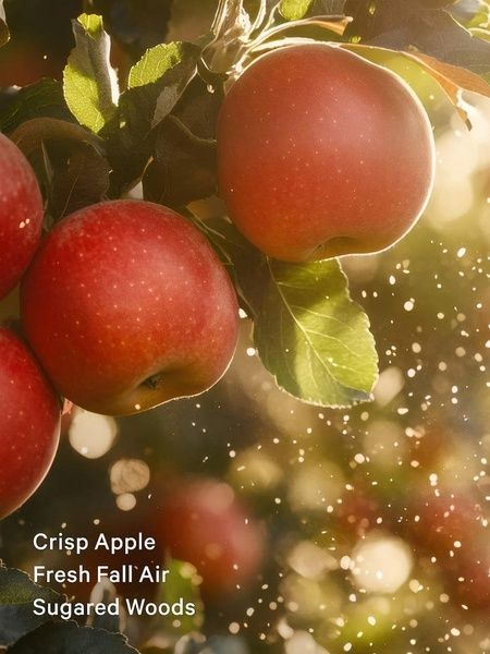 Dreamy Apple Orchard -&nbsp;парфюмированный лосьон Victoria's Secret, 236 мл 26999129 фото