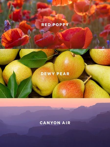 Canyon Blooms -&nbsp;парфюмированный лосьон для тела Victoria's Secret, 236 мл 27155617 фото